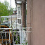 Virginia Creeper - Right Box