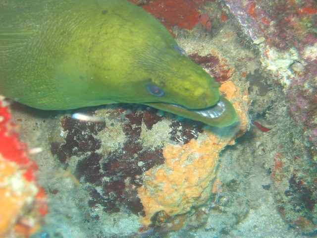 [aruba 156[3].jpg]