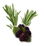 blackberry rosemary