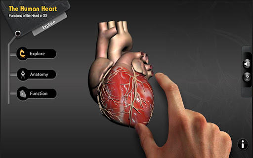 Explore heart in 3D