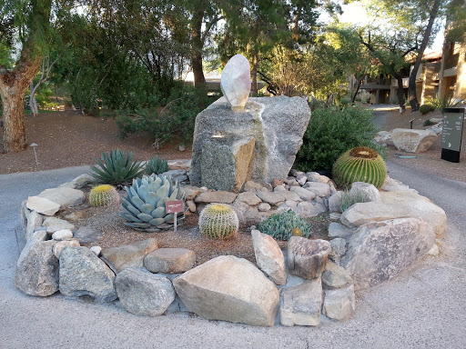 La Paloma East Fountain