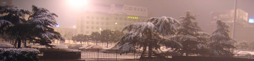 Parking lot and pines - in front of HQ airport