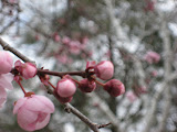 IMG_0105.jpg
