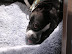 DSCN3640.JPG
