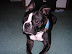 DSCN3679.JPG
