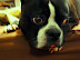 P1000012-A.jpg