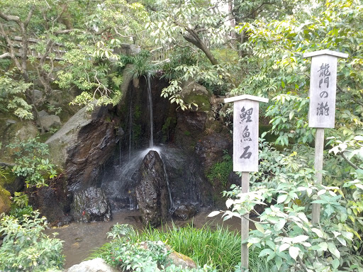 金閣寺 龍門の滝と鯉魚石