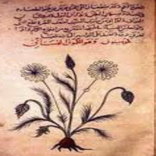 How to get Pengobatan Dengan Al-Quran 3.1 apk for pc