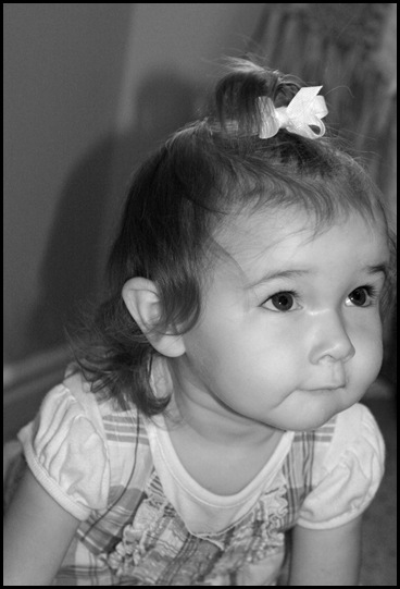 IMG_1582bw