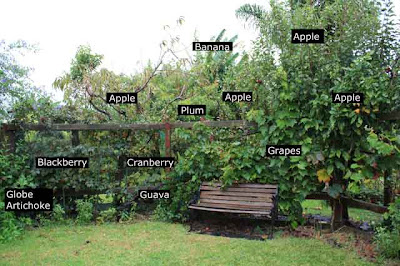 Restful in the orchard