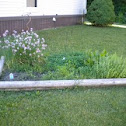Michigan Herb Garden