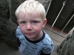 DSCN0046