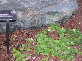 DSCN0041