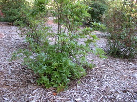 DSCN0047