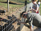 Goats....gotta love 'em.