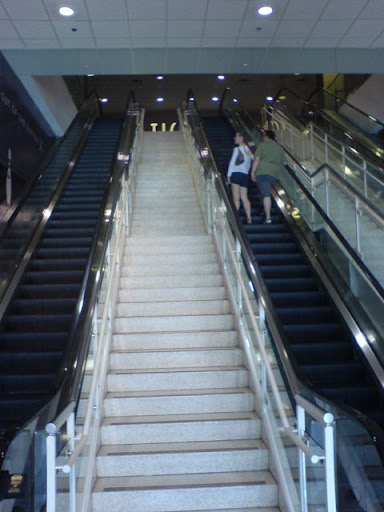 escalator and stairs at movie theatre van damme dojo
