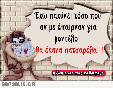 Έχω παχύνει τόσο που αν με έπαιρναν για μοντέλο θα έκανα πατσαρέλα! !! Kw-) η ζω είναι ενας καθρεφτης SAPSAis.or