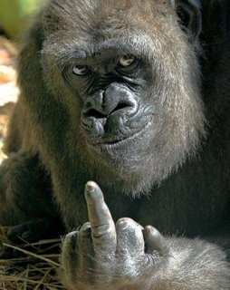 [The_Finger[3].jpg]