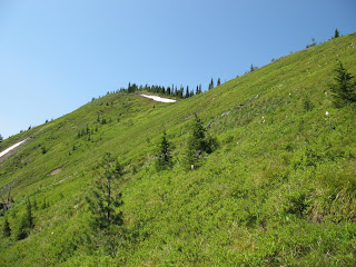 Finally out on open slopes