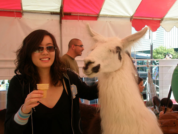 mr. huge llama was pretty cool.