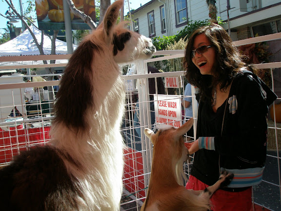 the little goats started crawling all over me to eat out of my hand!