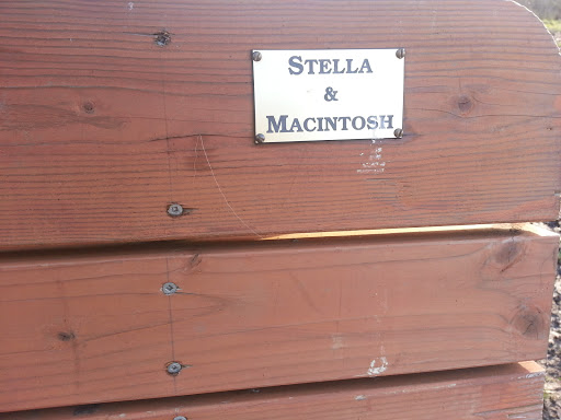 In Memory of Stella & Macintosh Memorial Bench