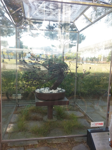 자카란다 나무 모형