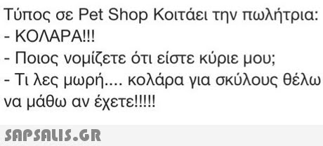 Τύπος σε Pet Shop Κοιτάει την πωλήτρια: ΚΟΛΑΡΑ! ! ! Ποιος νομίζετε ότι είστε κύριε μου; Τι λες μωρή κολάρα για σκύλους θέλω να μάθω αν έχετε!! 