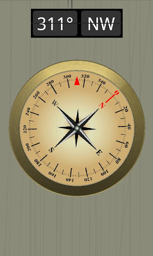 Accurate Compass Pro