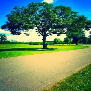 How to download nature wallpaper  walpaper lastet apk for android