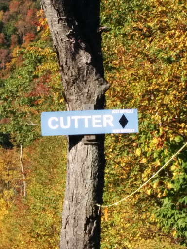 Jiminy Peak Cutter Trail
