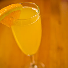 Orchard Mimosa