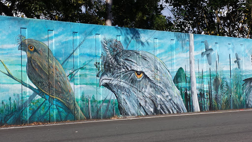 Frogmouth Bird Mural