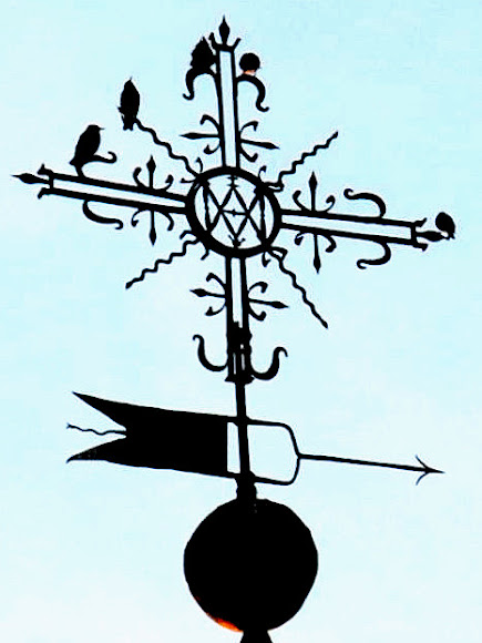 Spotting Image 1