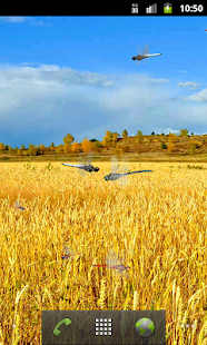 How to mod Alphaism Dragonfly lastet apk for pc