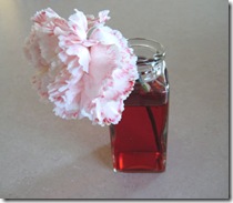 carnations red