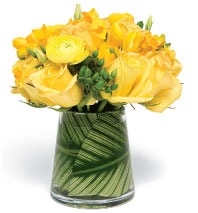 [daffodils yellow freesia[7].jpg]