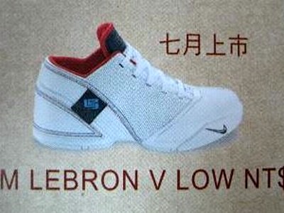 Possible USA Colorway of the Nike Zoom LeBron V Low