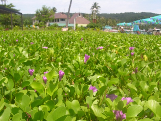 [DSCN59922.jpg]