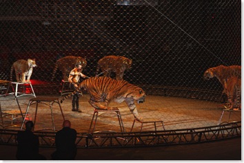 Circus 032