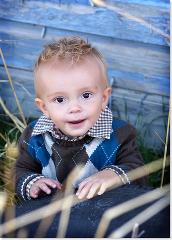 Orchard Pics 003