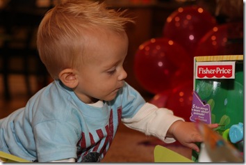 Orchard Pics 076