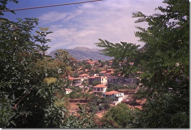 IMG0002