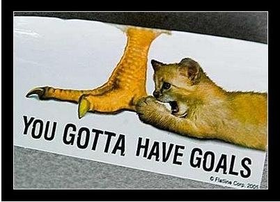 [gotta have goals[11].jpg]