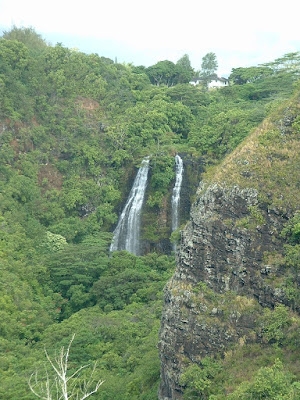 Opaekaa Falls