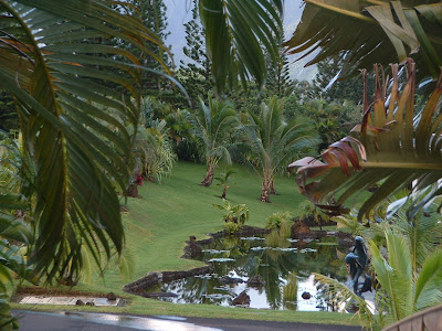 The view off the balcony.  Looks too pretty to be real, but it is!