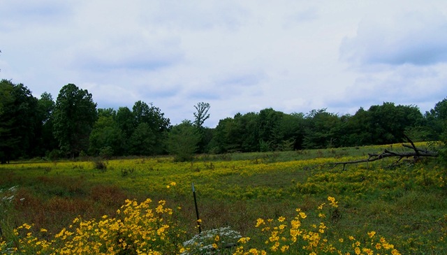 [Badlands 030[4].jpg]