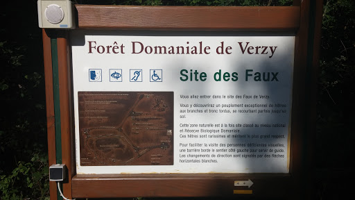 Site Des Faux De Verzy
