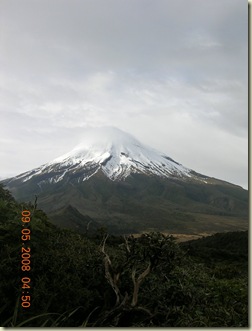 DSCN2803
