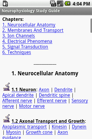 Neurophysiology Study Guide